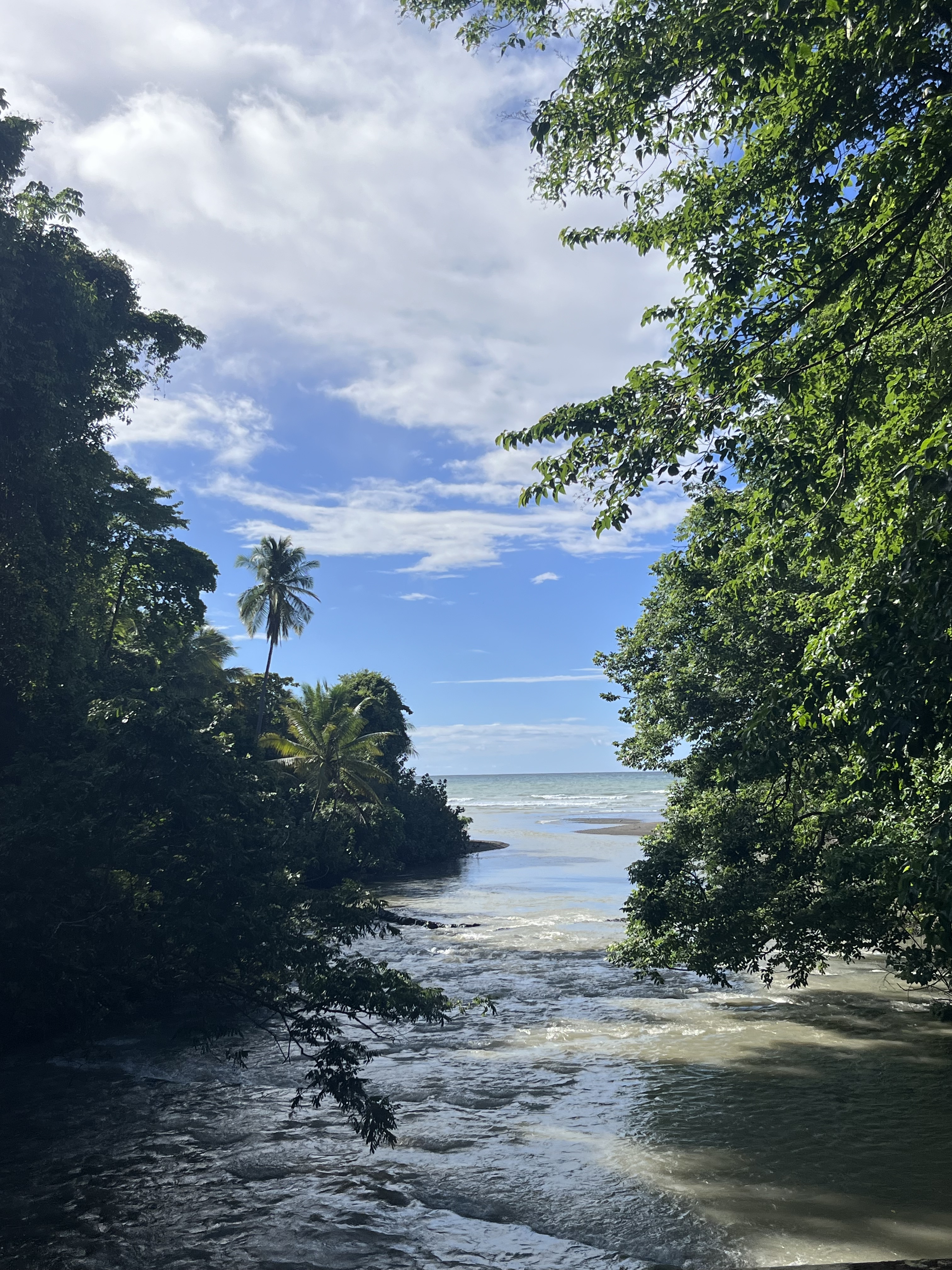 The shore is lined with lush, green foliage. It's a lovely day with blue skies, fluffy white clouds and calm water suggest...